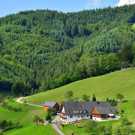 Ferienwohnung Im Schwarzwald Mit Wifi Fur Bis Zu 4 Personen Lejlighed *