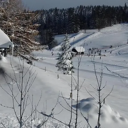 Ferienwohnung Im Schwarzwald Mit Wifi Fur Bis Zu 4 Personen *